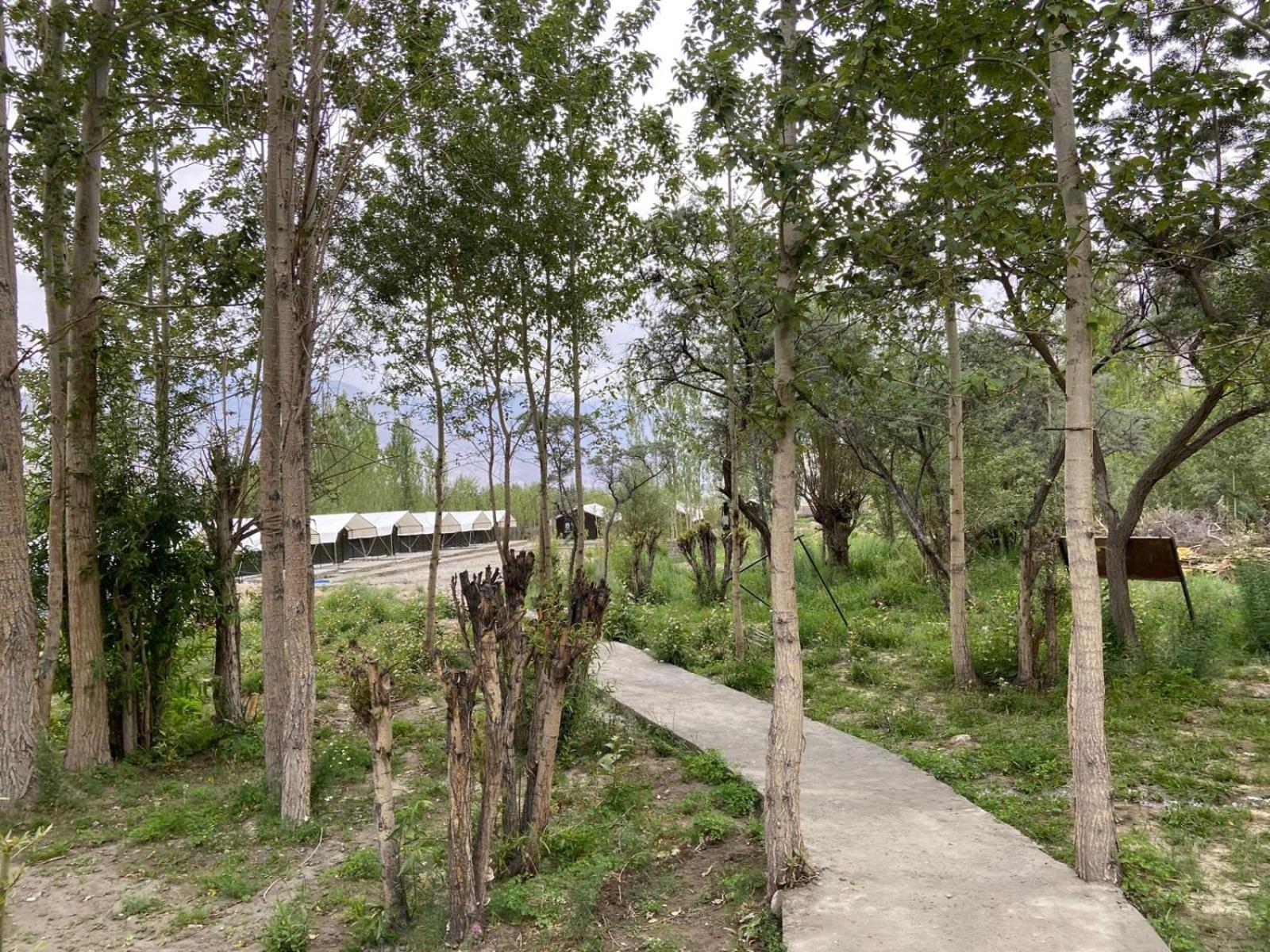 Ladakh Mountian Escape Camp By Lexstays Leh Exterior foto